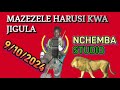 MAZEZELE HARUSI KWA JIGULA BY NCHEMBA STUDIO 9/10/2024