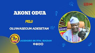 AKONI ODUA | Oluwasegun Adesetan