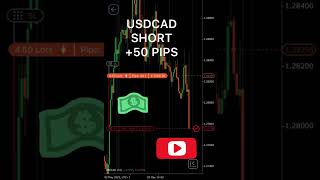 Winning Forex Trade - USDCAD - IG: ant_forex
