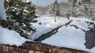 【絶景】日本の滝100選「七滝」Japanese falls