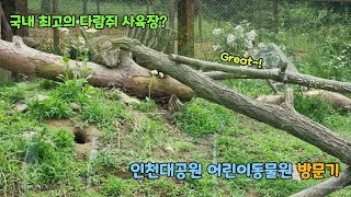 11. 인천대공원 어린이동물원 방문기