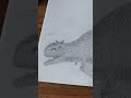 drawing a carnotaurus🦖