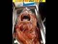 never touch these sea creatures #viral