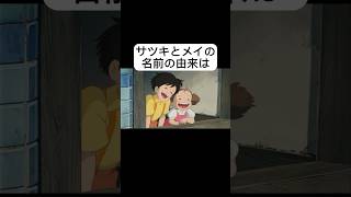 【雑学】となりのトトロの雑学・トリビア② #netflix #ジブリ映画 #ghibli #となりのトトロ #雑学 #千と千尋の神隠し