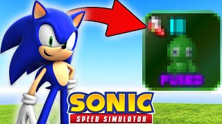 Did You Know This STILL EXISTS in Sonic Speed Simulator?