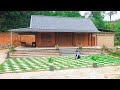 Log Cabin Building TIMELAPSE: Alone Girl Start To Finish Building Wooden House (FULL BUILD)