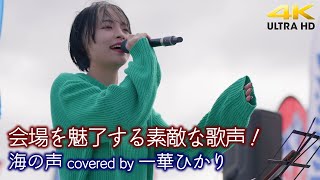 【歌うま】会場を魅了する素敵な歌声！　海の声 / 桐谷健太（covered by 一華ひかり）横須賀野外ライブ（ANAウインドサーフィンワールドカップ ）🎧推奨 高音質 4K映像