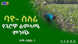 ማሳ  \