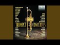 Concerto for 2 Trumpets in D Major, MWV 4.10: II. Andante