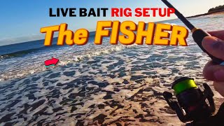 How To Tie Live Bait Fishing Rig | Fishing Rigs Setup