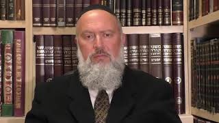 Rabbi David Bar-Hayim on the promotion of mass immigration into Western countries