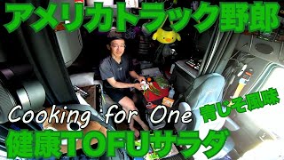 アメリカ長距離トラック運転手 Cooking for One 健康TOFUサラダ 青じそ風味 in Castleton-on-Hudson ニューヨーク州 【#367 2021-4-4】