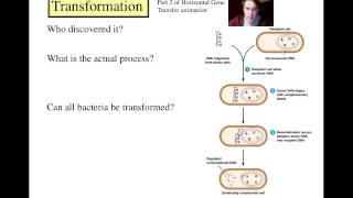 Bacterial Genetics 2012