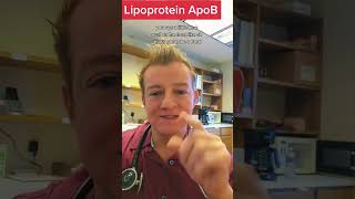 Lipoprotein ApoB? What is ApoB? Is it safe or dangerous?