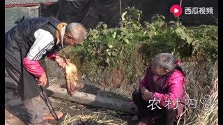 农村四哥：王四老爸说整点好吃的，老妈却不明白，您能猜到吗