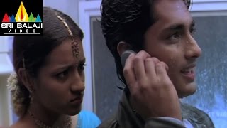 Nuvvostanante Nenoddantana Movie Dog Comedy | Siddharth, Trisha | Sri Balaji Video