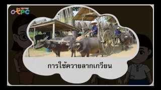 แรงกระทำและแรงลัพธ์ - สื่อการเรียนการสอน วิทยาศาสตร์ ป.3