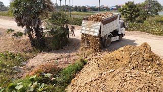 Update Project.!!! Wonderful Technique Processing Dump Truck And KOMATSU Dozer filling Flooded land.