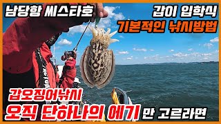 [풍낚TV] 갑오징어낚시/오직단하나의 에기만 선택하라면?/기본적인 갑오징어낚시방법/남당항씨스타호/Cinematic Fishing Vlog