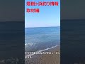 09 04　煙樹ヶ浜・波情報 shorts ＃遠投カゴ釣り 和歌山釣り 煙樹ヶ浜