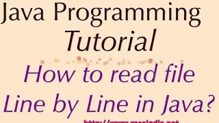 How to read file Line by Line in Java?