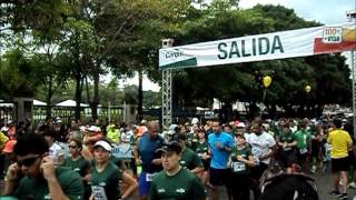 todos corren 10k 2012.wmv (todos juntos)