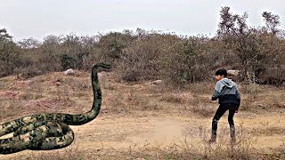 Anaconda Snake Attack In Real Life 4 HD | #snakes #python #anacondasnake #bigsnake #bigsnake