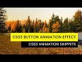 CSS3 Button hover Effect | Tutorial for Beginners | CSS3 Animation Snippets