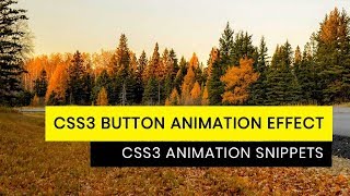 CSS3 Button hover Effect | Tutorial for Beginners | CSS3 Animation Snippets