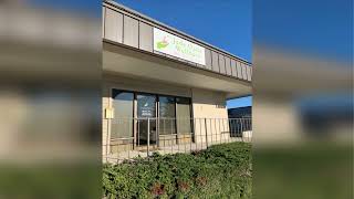 Discover Jade Oasis Wellness: Massage Therapy & Holistic Medicine in Bellevue, Kirkland, Redmond