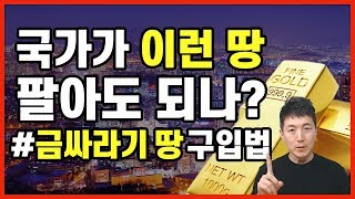 국가가 이런 땅 팔아도 되나 (금싸라기 땅 구입법) l 부플러스