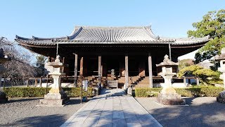 JG☆☆☆ 4K HDR 和歌山 道成寺(重文)今昔物語と歌舞伎ゆかりの寺 Wakayama,Dojoji(Cultural Property),Famous for Kabuki