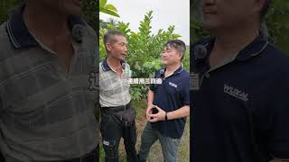 益耕寶可以作為土壤地力恢復與促進新根系再次滋長的機會，讓作物可以在生育中期發育與後期收穫品質的提升。#土壤管理 #益耕寶 #團粒結構 #連作障礙 #神農廣播電台 #全農肥料