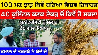 Wheat production world record ,ਬਹੁਤ ਹੀ ਕੀਮਤੀ ਜਾਣਕਾਰੀ ਦਿੱਤੀ ਆ ਇਸ ਕਿਸਾਨ ਨੇ