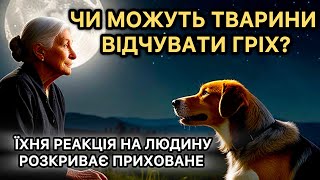 Чому тварини бояться одних людей, а інших обожнюють? Відповідь, яка вас здивує!