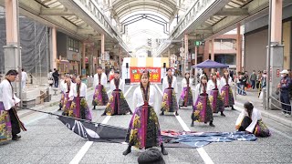 長州南蛮連『万花の来路(ぶち楽バージョン)』 📍YOSAKOIぶち楽市民祭 (銀座中央会場) 2024-11-10T11:38