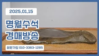 2025년 01월 15일 명월수석 경매방송