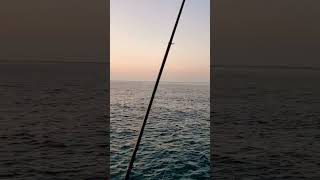 Sururu Fishing in Danjo Islands Nagasaki Japan