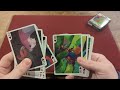 daily deck review day 426 prototype parrot playing cards by playingcarddecks