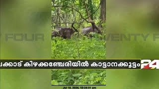 പാലക്കാട് കിഴക്കഞ്ചേരിയില്‍ കെഎസ്ഇബി ജീവനക്കാര്‍ക്ക് മുന്നില്‍ കാട്ടാനക്കൂട്ടം എത്തി