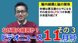 夏見台幼稚園・保育園ビデオニュース　2022年5月号その3「賢さと腸内細菌の関係」