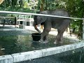 媛ﾁｬﾝﾊﾞｹﾂ遊び20070817 19とべ動物園