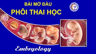 BÀI 16 - LÝ THUYẾT PHÔI THAI HỌC - BÀI MỞ ĐẦU