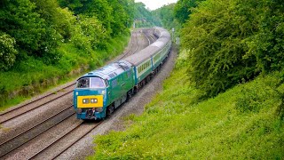 D1015 'Western Champion' to Paignton. Hatton 01-06-24