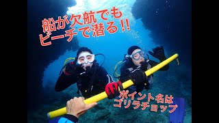 【ビーチ体験ダイビング】ビーチでも、サンゴも熱帯魚も沢山♪