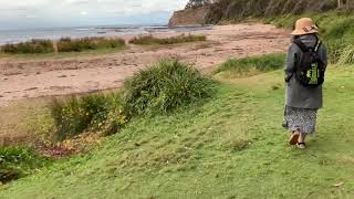 Depot beach ulladulla