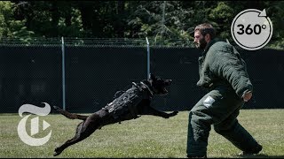 How to Become a Secret Service Agent | The Daily 360 | The New York Times