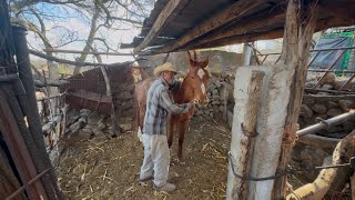 AMIS 81 AÑOS TODAVIA MONTO A CABALLO Y  BUSCO NOVIA