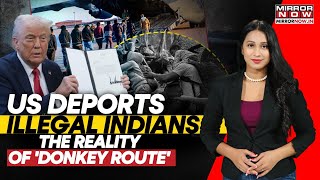 The Deadly Reality Of 'Donkey Route '| How Deported Indian Migrants Reached US| Watch