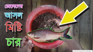 Fishing Technique Fishing Chum Mishti Char Sweet Char Jeleder Mishti Char জেলেদের আসল মিষ্টি চার